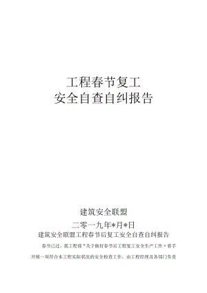 项目部春节后复工安全检查自查报告.docx