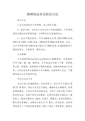 榕树病虫害及防治方法.docx