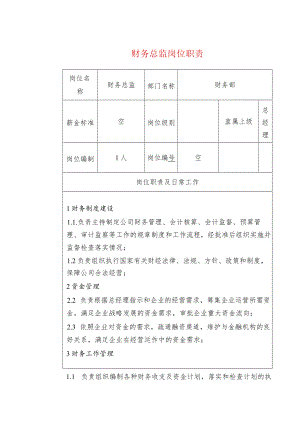 财务总监岗位职责.docx