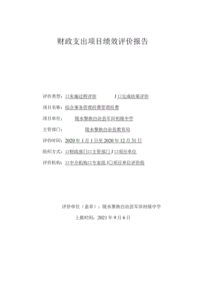 财政支出项目绩效评价报告.docx