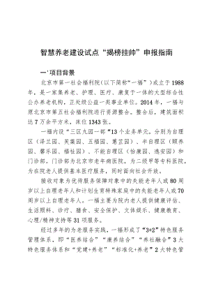 智慧养老建设试点“揭榜挂帅”申报指南.docx
