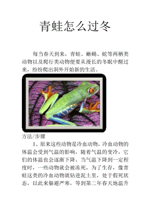 青蛙怎么过冬.docx