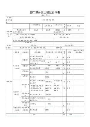部门整体支出绩效自评表.docx