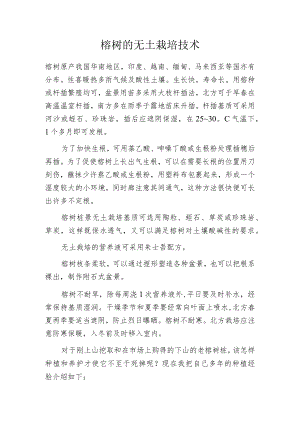 榕树的无土栽培技术.docx