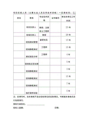 项目实施人员(主要从业人员及其技术资格)一览表.docx