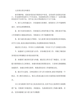 文宣部自查自纠报告.docx