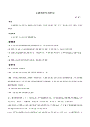 资金预算管理制度.docx