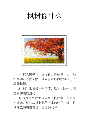 枫树像什么.docx