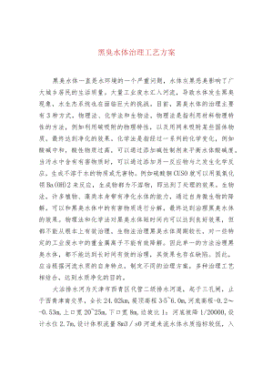 黑臭水体治理工艺方案.docx