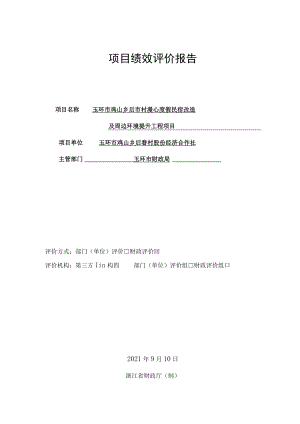 项目绩效评价报告.docx