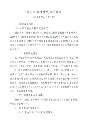 望江乡项目绩效自评报告.docx