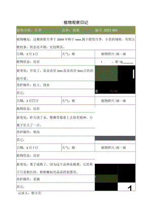 植物观察日记生长记录表.docx