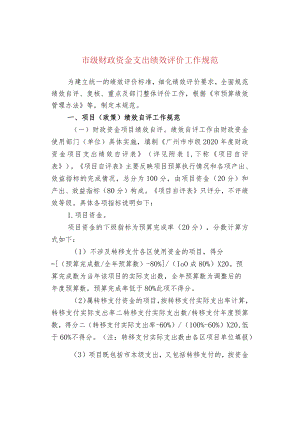 市级财政资金支出绩效评价工作规范.docx
