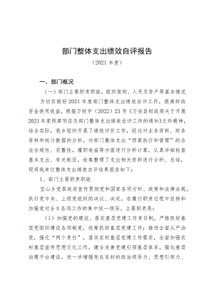 部门整体支出绩效自评报告(6).docx