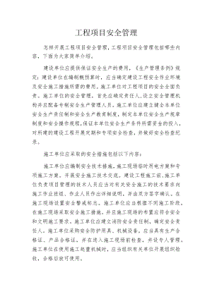 工程项目安全管理.docx