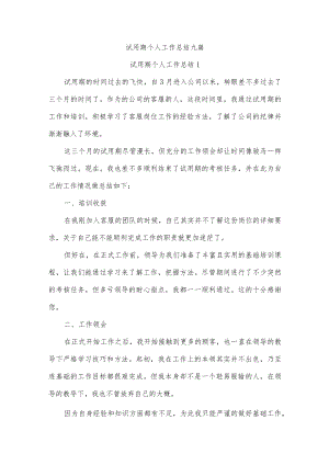 试用期个人工作总结九篇.docx