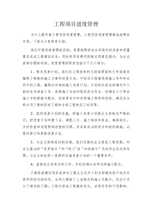 工程项目进度管理.docx