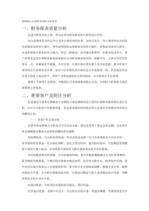 集团核心企业财务风险分析参考.docx