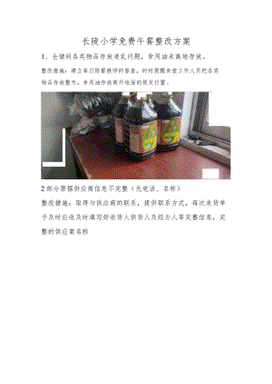 长陔小学免费午餐整改方案.docx