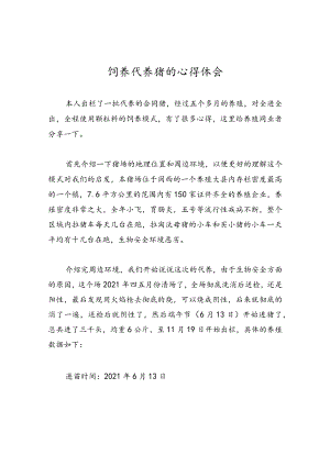 饲养代养猪的心得体会.docx