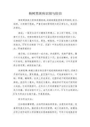 杨树黑斑病识别与防治.docx