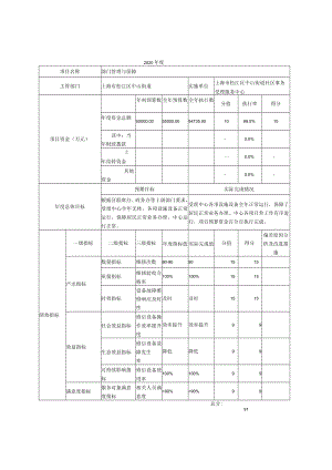 财政项目支出绩效自评表.docx