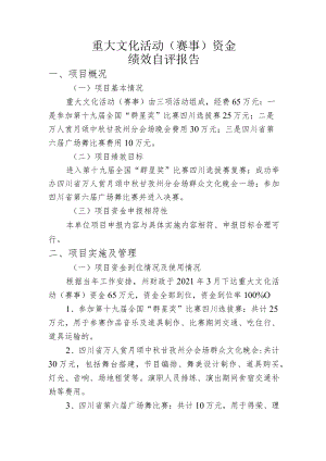 重大文化活动赛事资金绩效自评报告.docx