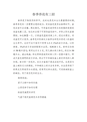 春季养花有三招.docx