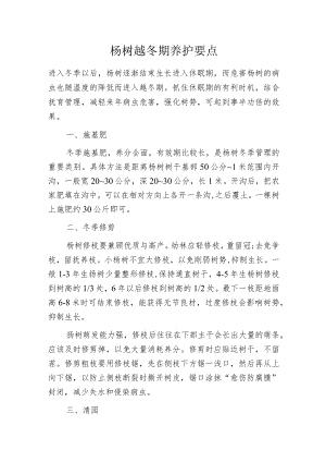 杨树越冬期养护要点.docx