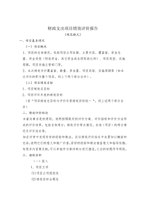 财政支出项目绩效评价报告.docx