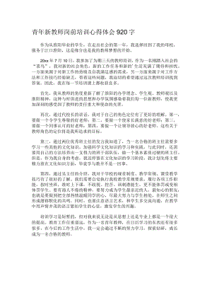 青年新教师岗前培训心得体会920字.docx