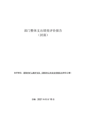 部门整体支出绩效评价报告封面.docx