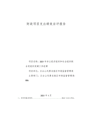 财政项目支出绩效自评报告.docx