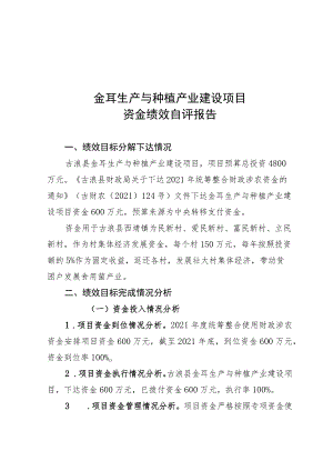金耳生产与种植产业建设项目资金绩效自评报告.docx