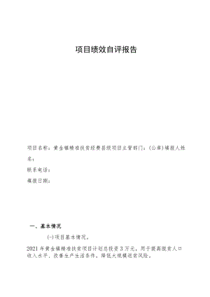 项目绩效自评报告.docx