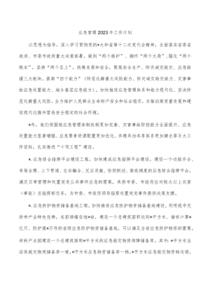 应急管理2023年工作计划.docx