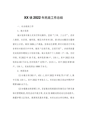 XX镇2022年民政工作总结.docx