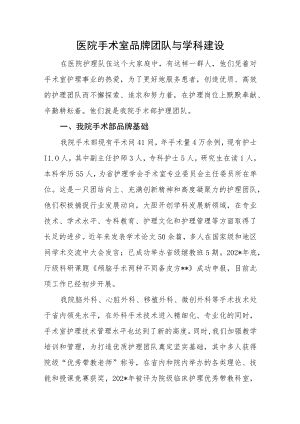 医院手术室品牌团队与学科建设.docx