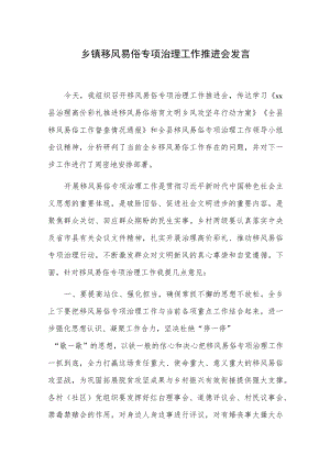乡镇移风易俗专项治理工作推进会发言.docx