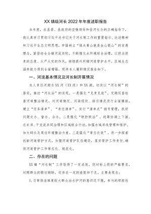 XX镇级河长2022年年度述职报告.docx