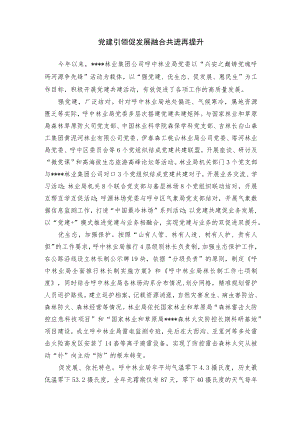【经验总结】党建引领促发展 融合共进再提升.docx