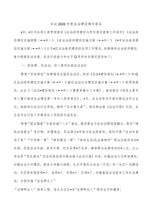 司法2022年度法治建设情况报告.docx
