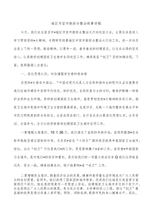 城区市容市貌综合整治部署讲稿.docx