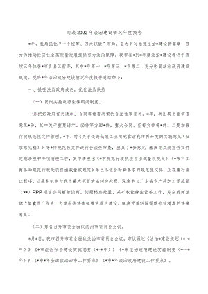 司法2022年法治建设情况年度报告.docx