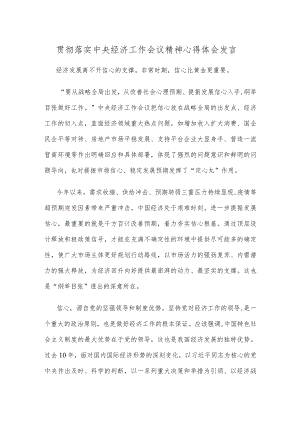 贯彻落实中央经济工作会议精神.docx