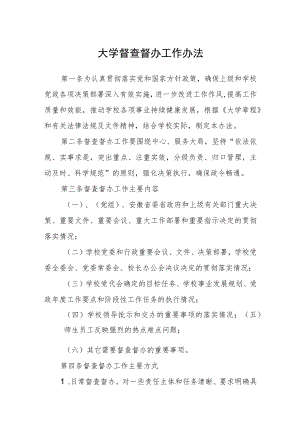 大学督查督办工作办法.docx