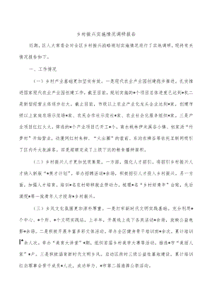乡村振兴实施情况调研报告.docx