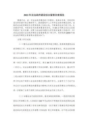 2022年法治政府建设综合督察自查报告.docx