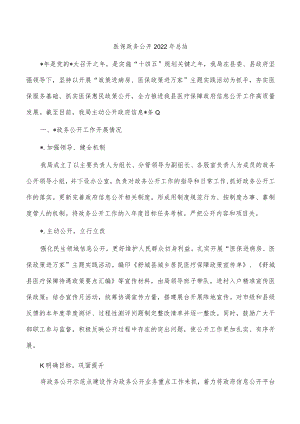 医保政务公开2022年总结.docx