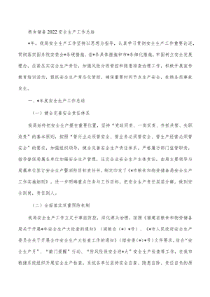 粮食储备2022安全生产工作总结.docx